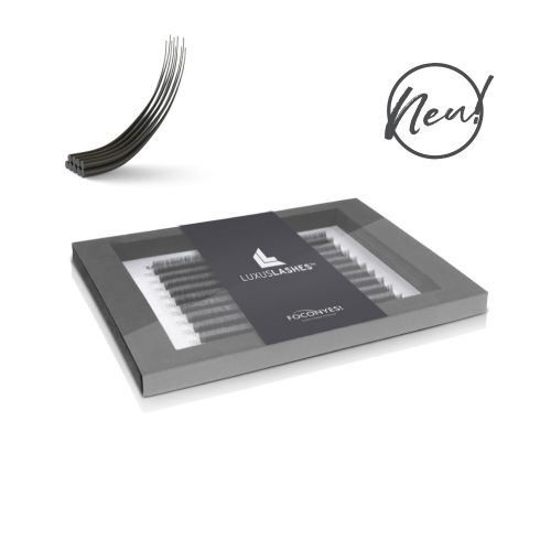 EASY FAN D-Curl Light EASY FAN D-Curl Light